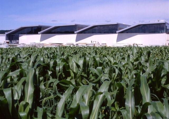 Ein Foto von Paul Ott